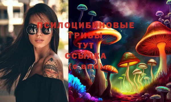 таблы Алексеевка