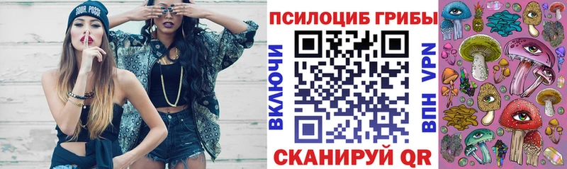 Галлюциногенные грибы мухоморы  где купить   Кизел 